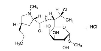 clindamycin-hydrochloride